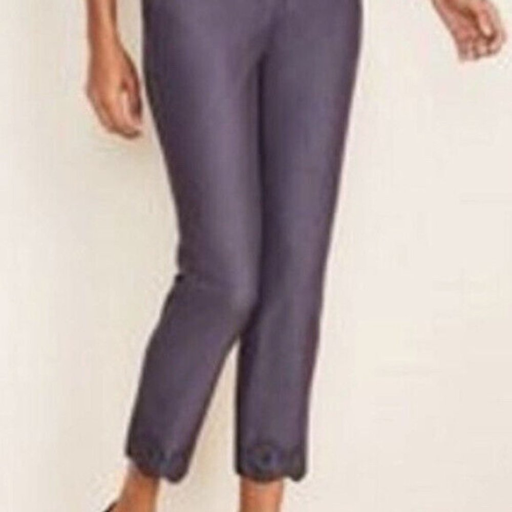 NWT Ann Taylor The Ankle Pant Embroidered Hem Naval Night Wash Size 2